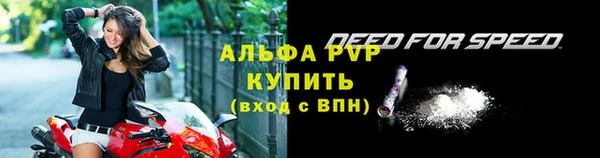 дживик Корсаков
