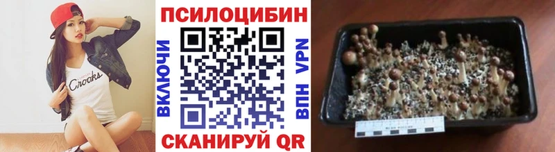 Купить  Белозерск  Галлюциногенные грибы Cubensis 